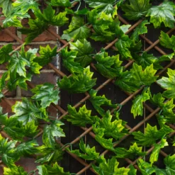 Apollo Maple Leaf Willow Trellis Panel (W)200cm X (H)100cm -Garden & Outdoors apollo maple leaf willow trellis panel w 200cm x h 100cm5037653779309 02i bq