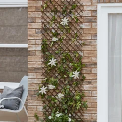 Blooma 2ft Willow Trellis Panel (W)180cm X (H)60cm 9 Blooma 2ft Willow Trellis Panel (W)180cm X (H)60cm -Garden & Outdoors blooma 2ft willow trellis panel w 180cm x h 60cm3663602430452 04bq