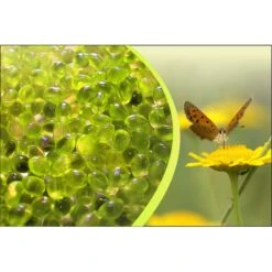 Canadian Spa Company Chamomile Aromatherapy Scent