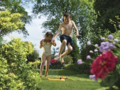 Hozelock Plus Swinging Sprinkler -Garden & Outdoors hozelock plus swinging sprinkler5010646037679 01i