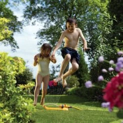 Hozelock Plus Swinging Sprinkler -Garden & Outdoors hozelock plus swinging sprinkler5010646037679 05bq