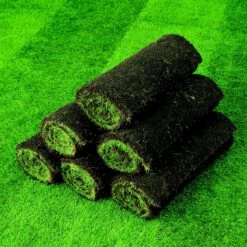 Lawn Turf, 59m² Pack 13 Lawn Turf, 59m² Pack -Garden & Outdoors lawn turf 59m pack3663602195115 04i