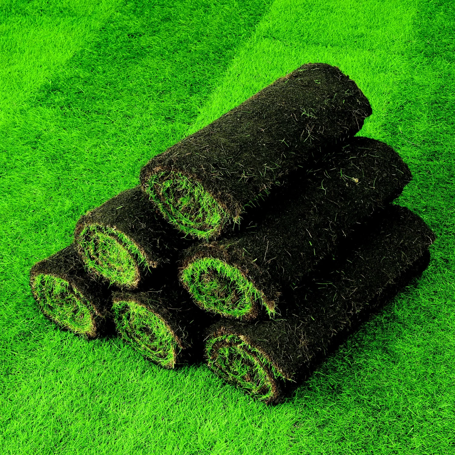 Lawn Turf, 59m² Pack 8 Lawn Turf, 59m² Pack - Image 6