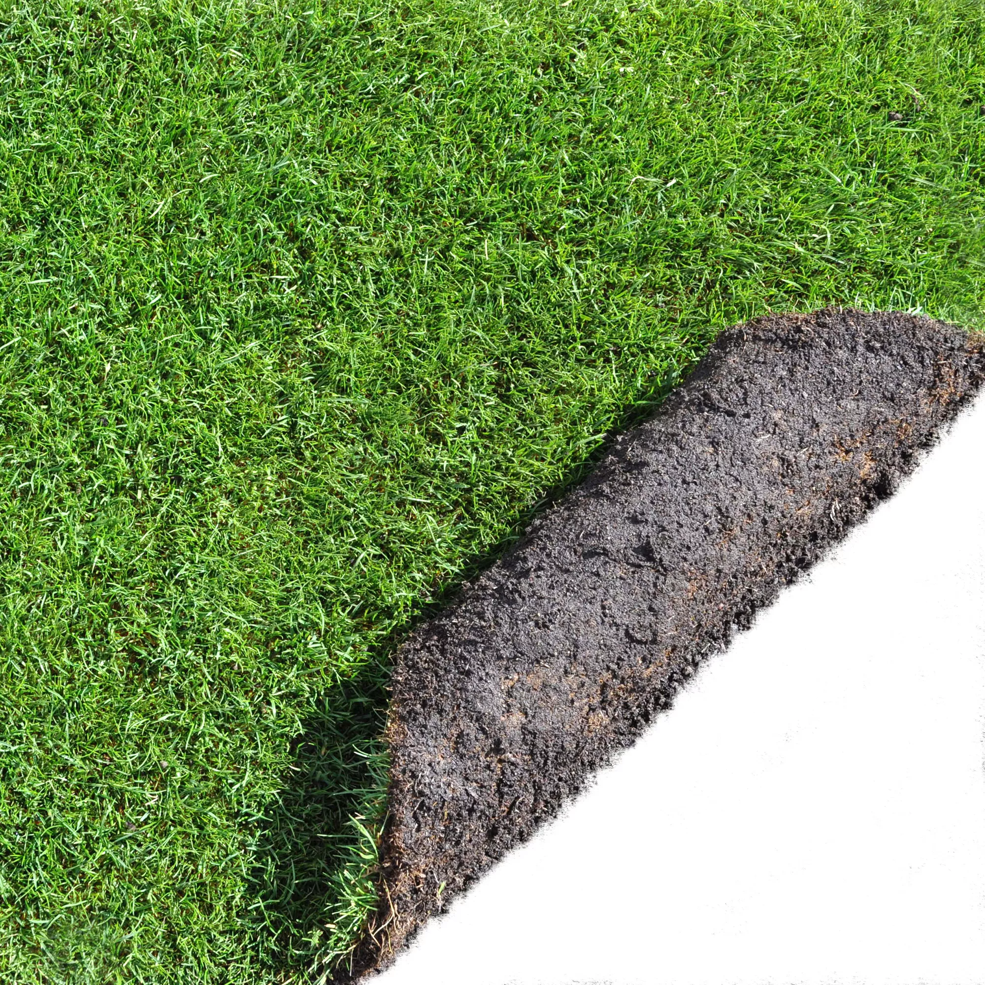 Lawn Turf, 59m² Pack 4 Lawn Turf, 59m² Pack - Image 2