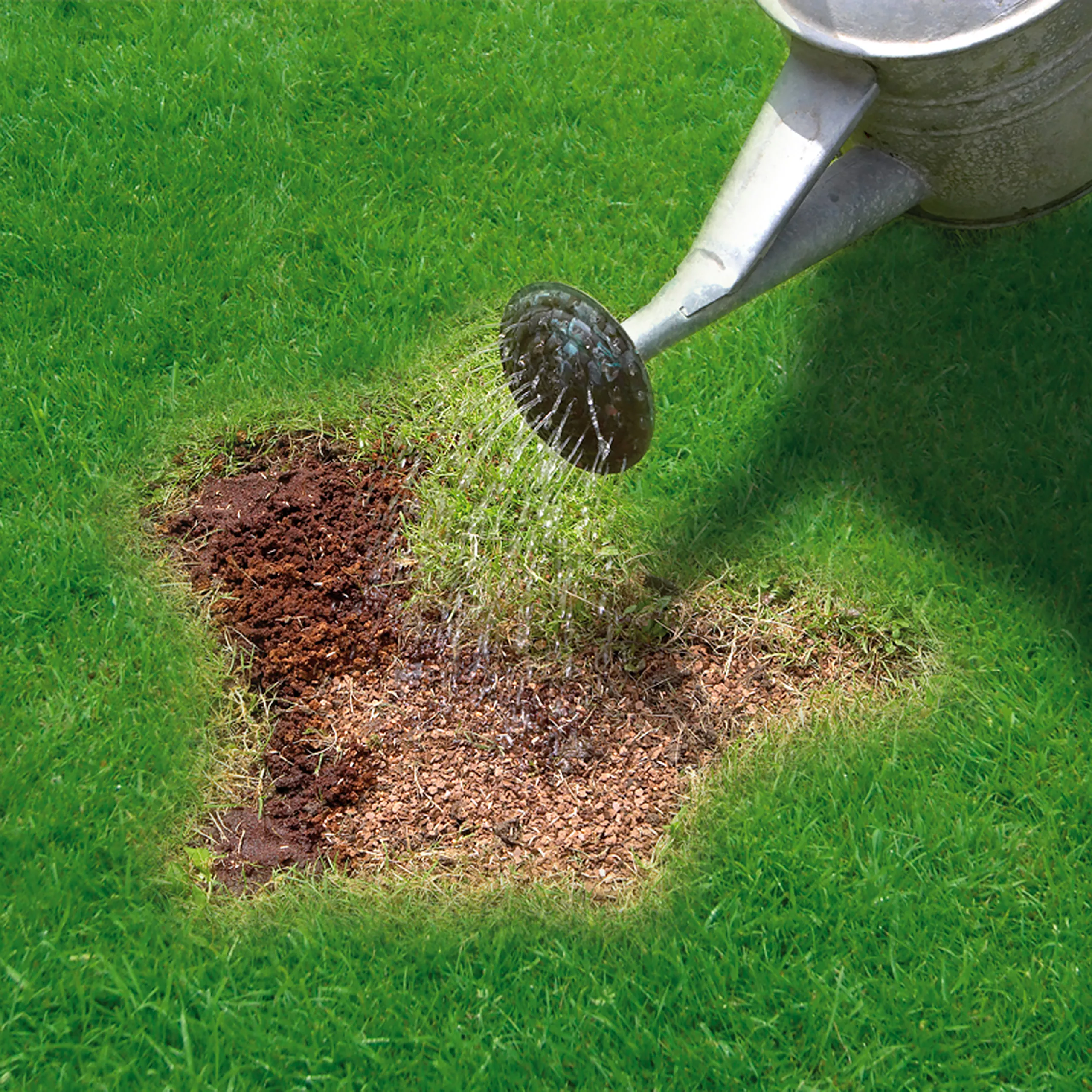 Miracle-Gro Patch Magic Lawn Patch Repairer 13m² 1L 1kg 6 Miracle-Gro Patch Magic Lawn Patch Repairer 13m² 1L 1kg - Image 4