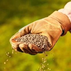 Miracle-Gro Perform Universal Plant Feed Granules 2kg -Garden & Outdoors miracle gro perform universal plant feed granules 2kg5010272189032 01i BQ