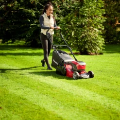 Mountfield Freedom500 Range Empress 41 R Li Kit / 299439073/M22 Cordless 48V Rotary Lawnmower 22 Mountfield Freedom500 Range Empress 41 R Li Kit / 299439073/M22 Cordless 48V Rotary Lawnmower -Garden & Outdoors mountfield freedom500 range empress 41 r li kit 299439073 m22 cordless 48v rotary lawnmower8008984851429 01i