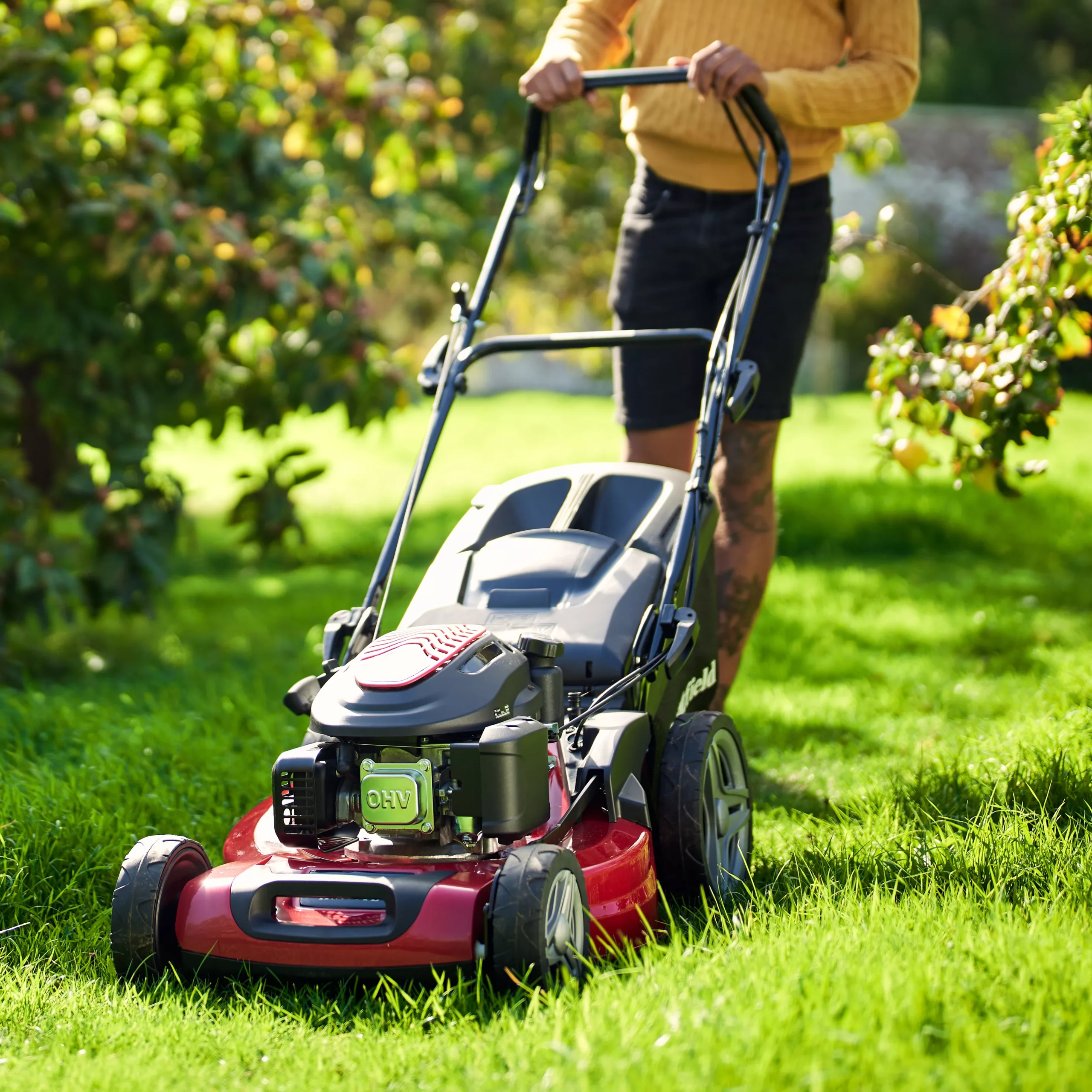 Mountfield HW531 PD / 294556043/M22 196cc Petrol Rotary Lawnmower 5 Mountfield HW531 PD / 294556043/M22 196cc Petrol Rotary Lawnmower - Image 3