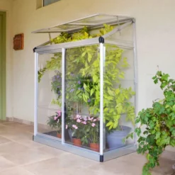 Palram - Canopia 4x2 Greenhouse -Garden & Outdoors palram canopia 4x2 greenhouse7290108130263 04i bq