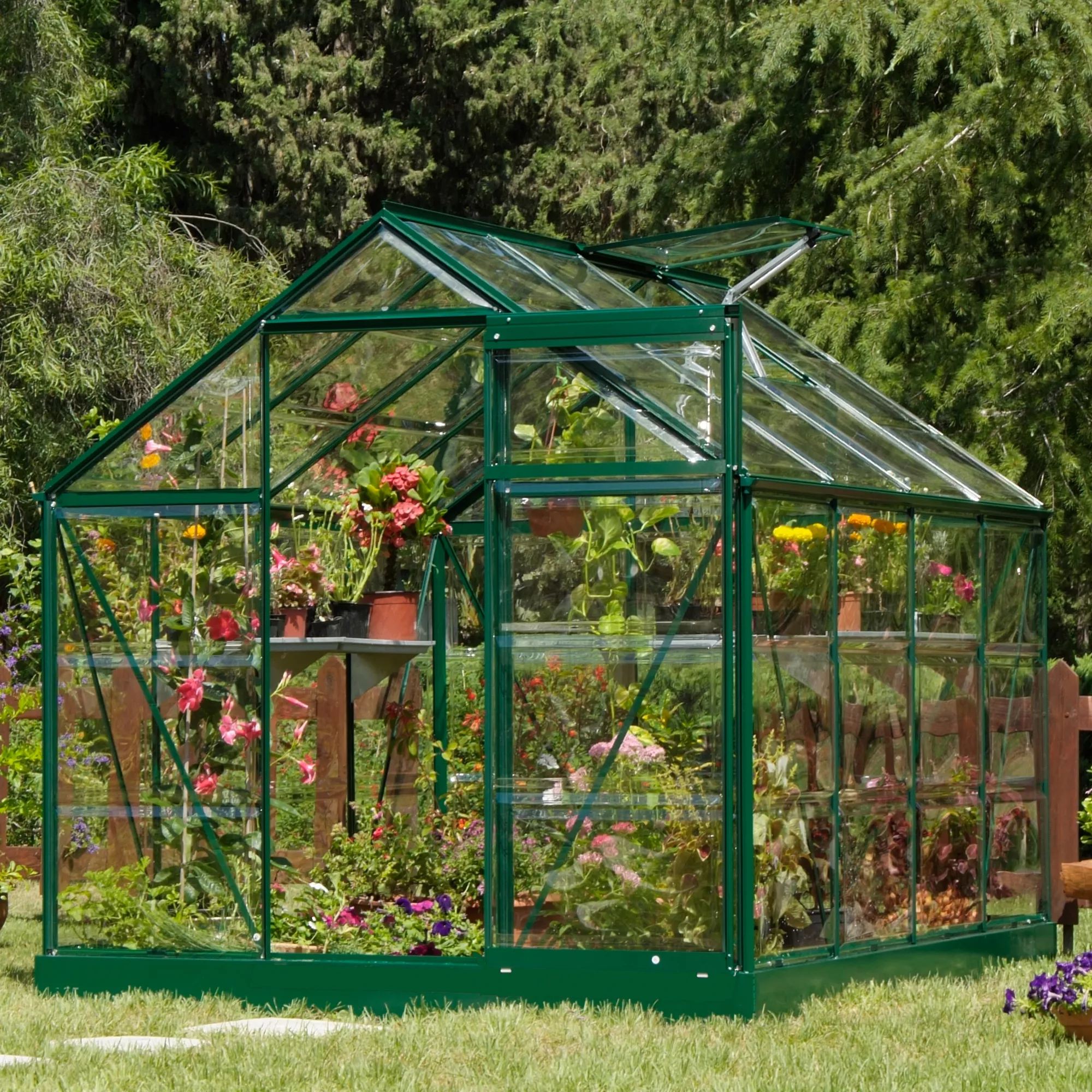 Palram - Canopia Harmony Green 6x10 Greenhouse 4 Palram - Canopia Harmony Green 6x10 Greenhouse - Image 2