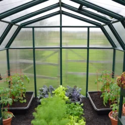 Palram - Canopia Hobby Gardner Green 8x8 Greenhouse -Garden & Outdoors palram canopia hobby gardner green 8x8 greenhouse7290103121655 05i bq