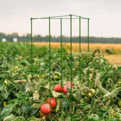 Panacea Steel 3-sided Frame Plant Support Frame (L)119cm (Dia)36cm -Garden & Outdoors panacea steel 3 sided frame plant support frame l 119cm dia 36cm0093432825518 01i bq