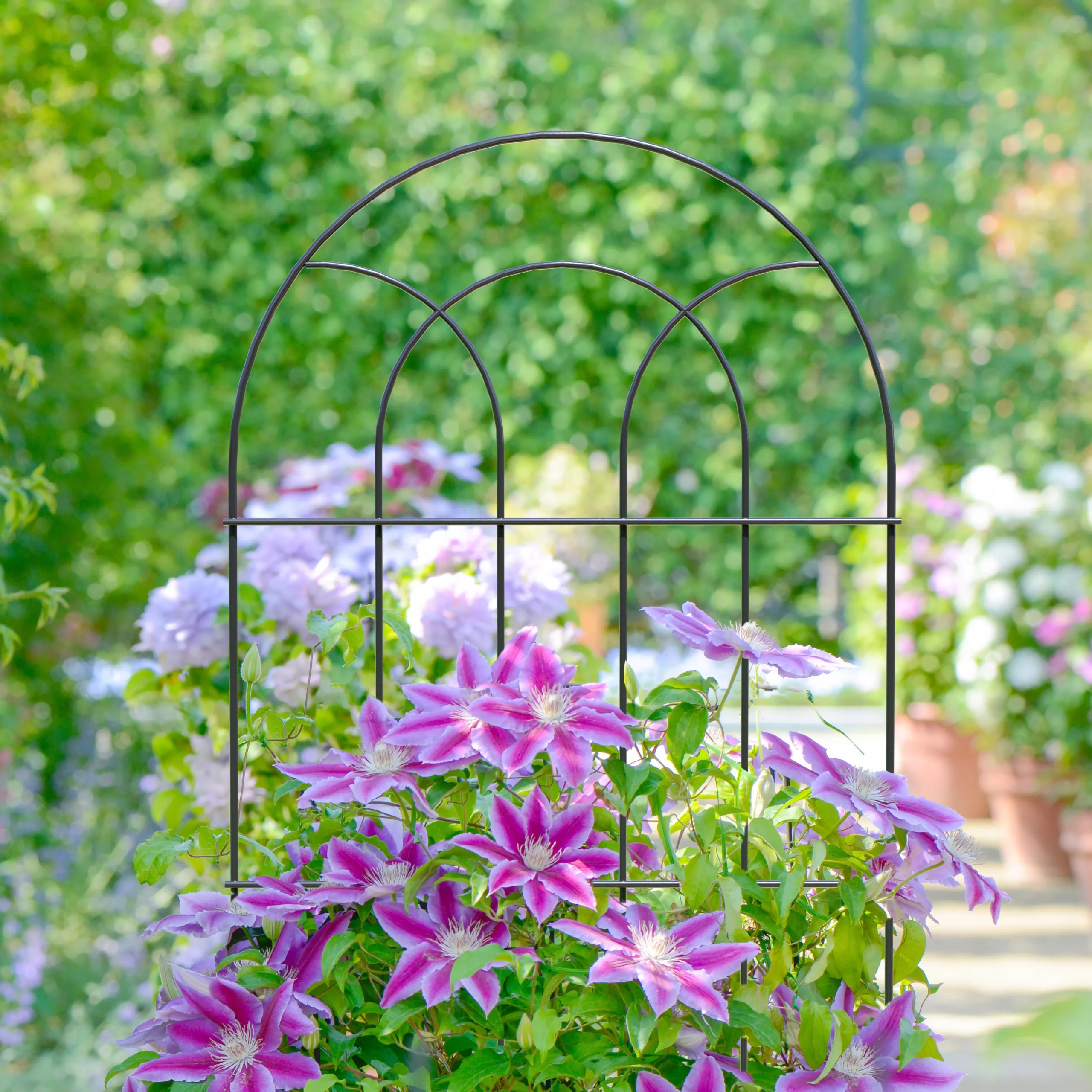 Panacea Steel Plant Support Frame (L)182cm (Dia)56cm 4 Panacea Steel Plant Support Frame (L)182cm (Dia)56cm - Image 2