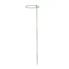 Panacea Steel Single Stem Plant Support (L)75cm (Dia)15cm, Pack Of 3 -Garden & Outdoors panacea steel single stem plant support l 75cm dia 15cm pack of 30093432825433 01c bq