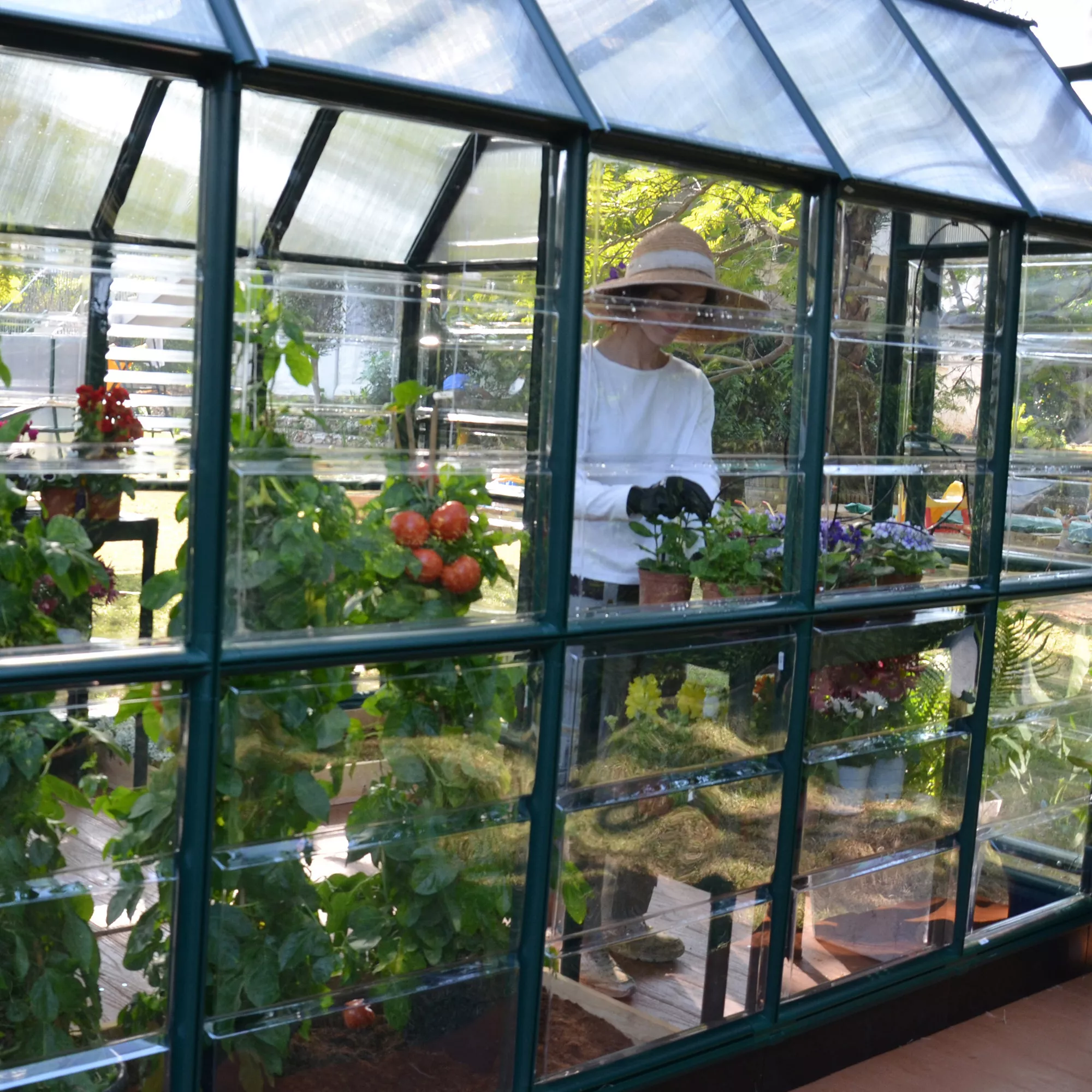 Rion Grand Gardner Green 8x16 Greenhouse 8 Rion Grand Gardner Green 8x16 Greenhouse - Image 6