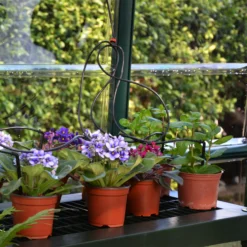 Rion Grand Gardner Green 8x16 Greenhouse 12 Rion Grand Gardner Green 8x16 Greenhouse -Garden & Outdoors rion grand gardner green 8x16 greenhouse7290103121594 37c