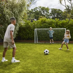 Verve Family & Sports Grass Seeds, 1.5kg -Garden & Outdoors verve family sports grass seeds 1 5kg3663602947516 09i