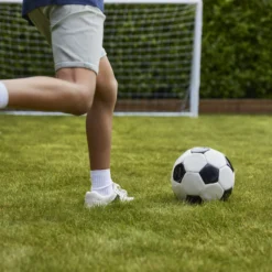 Verve Family & Sports Grass Seeds, 10kg -Garden & Outdoors verve family sports grass seeds 10kg3663602947516 06i