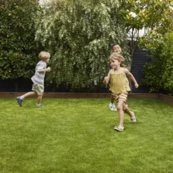 Verve Family & Sports Grass Seeds, 5kg -Garden & Outdoors verve family sports grass seeds 5kg3663602947516 02i