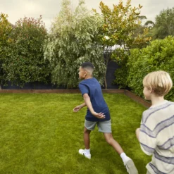 Verve Family & Sports Grass Seeds, 5kg -Garden & Outdoors verve family sports grass seeds 5kg3663602947516 03i