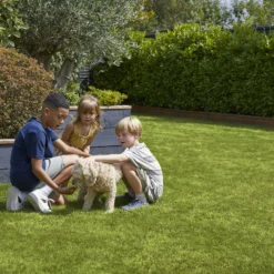 Verve Family & Sports Grass Seeds, 5kg -Garden & Outdoors verve family sports grass seeds 5kg3663602947516 04i