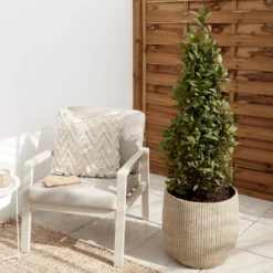 Verve Kulun Beige Knitted Effect Fibreclay Circular Plant Pot (Dia)46cm 7 Verve Kulun Beige Knitted Effect Fibreclay Circular Plant Pot (Dia)46cm -Garden & Outdoors verve kulun beige knitted effect fibreclay circular plant pot dia 46cm5059340327679 01i