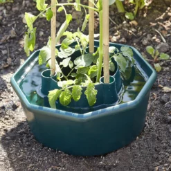 Verve Plastic Plant Support 28cm, Pack Of 3 7 Verve Plastic Plant Support 28cm, Pack Of 3 -Garden & Outdoors verve plastic plant support 28cm pack of 33663602557715 01i