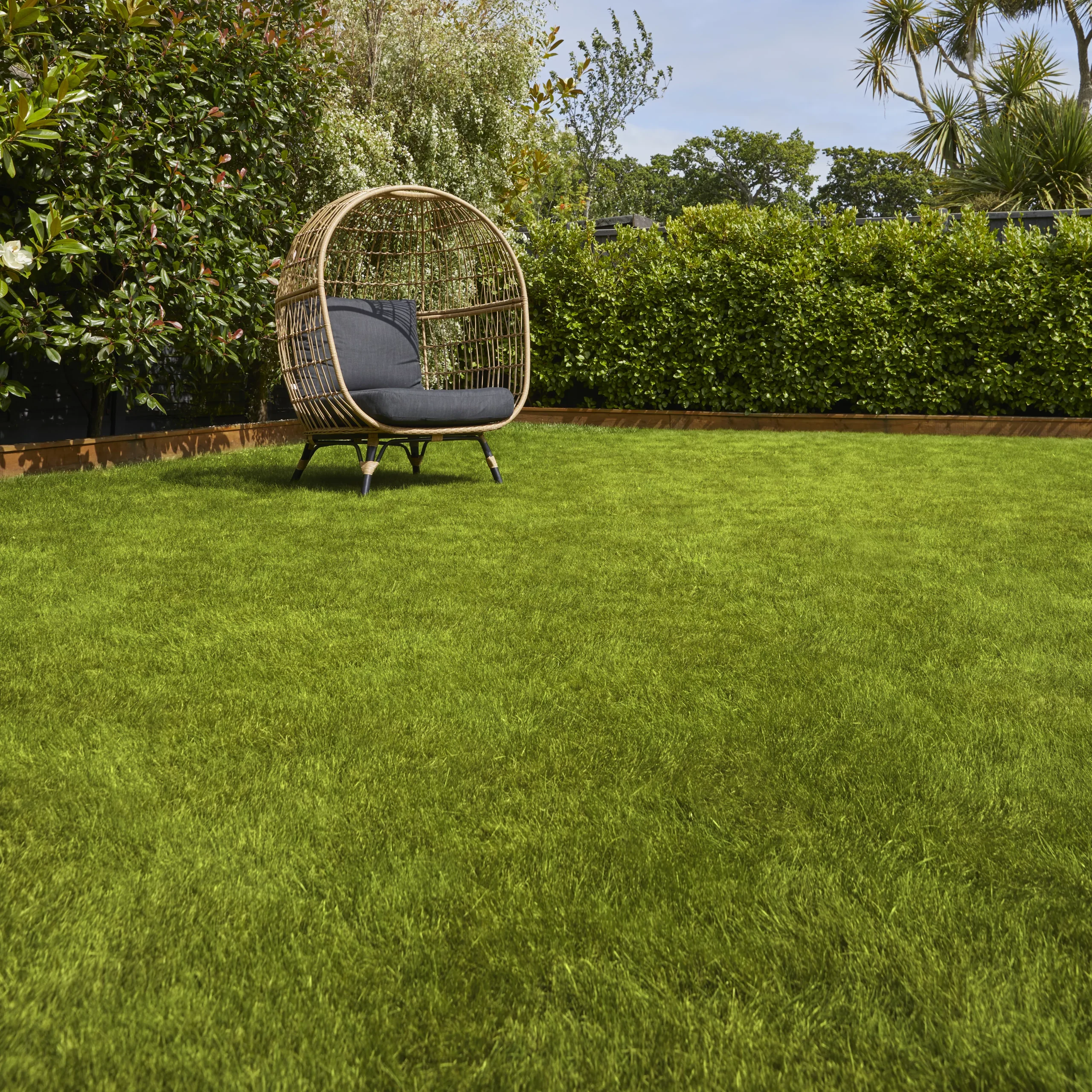 Verve Sunny Grass Seeds, 1.5kg 4 Verve Sunny Grass Seeds, 1.5kg - Image 2