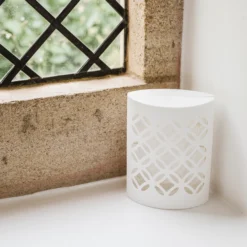 Westland Flying Insects Insect Trap -Garden & Outdoors westland flying insects insect trap5023377013829 02i bq