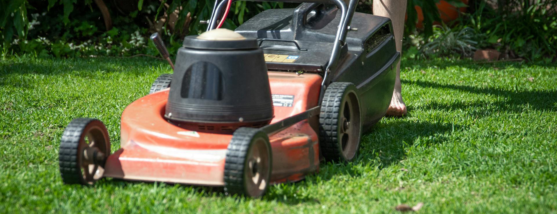 Front Page -Garden & Outdoors pexels magda ehlers pexels 4162011